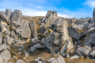 Huge limestone boulders, megalith rock formations in New Zealand