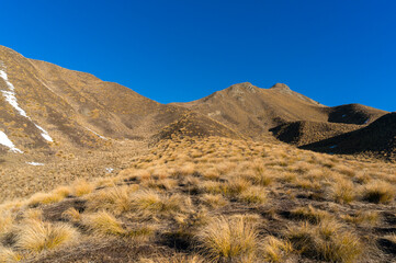 Mountain landscape with tussock grass and mountains