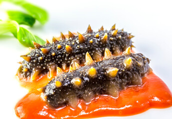 Sea cucumber with tomato sauce on white background