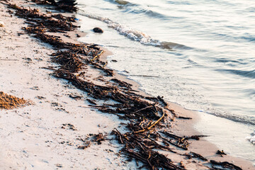Polluted shore view for good environment awareness photo
