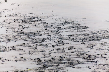 
View of blurry mud texture used for clay mask in beauty products