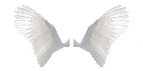 Fototapeta na wymiar White angel wings isolated on white background
