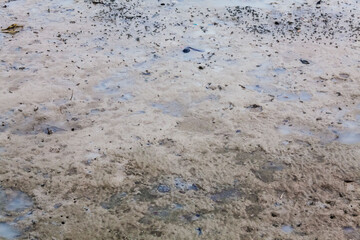 
View of blurry mud texture used for clay mask in beauty products