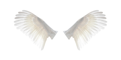 Plakat White angel wings isolated on white background