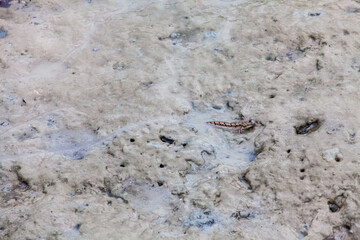 
View of blurry mud texture used for clay mask in beauty products