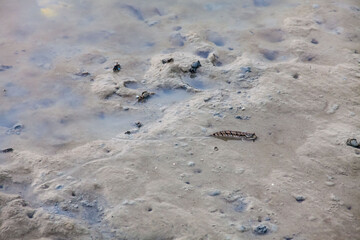 
View of blurry mud texture used for clay mask in beauty products