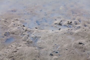 
View of blurry mud texture used for clay mask in beauty products