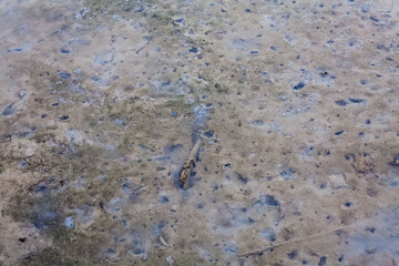 
View of blurry mud texture used for clay mask in beauty products