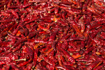 Fototapeta premium Hot red chilli peppers sun-drying. Full frame spicy food background