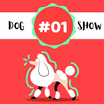 Dog Show Graphic Template, Poodle vector illustration 