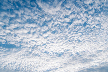 The picture of the blue sky and floating clouds