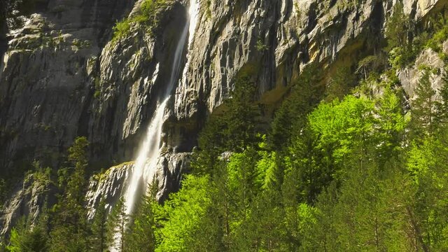 Zoom out from rocky waterfall above pine trees, Pyrenees