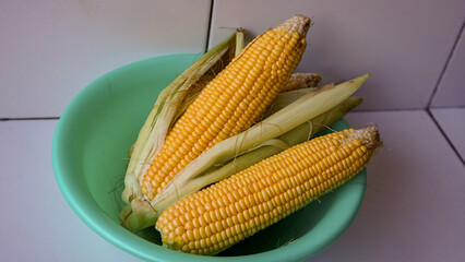 corn on the cob