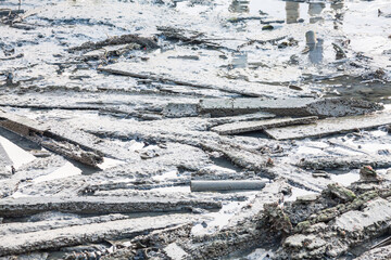 Muddy shore view with wood covered by mud and rubbish