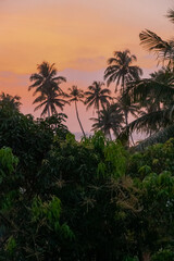 Fototapeta na wymiar Golden hour pinky sunset with sea view in Sri Lanka