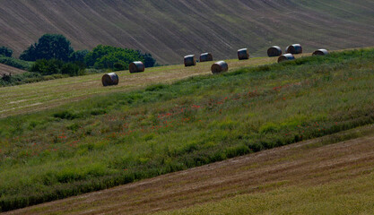 Obraz premium Vista bucolica