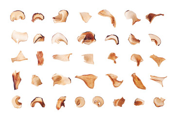 Edible dried mushrooms set on white background isolated close up, dry boletus edulis, chopped brown...