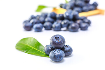 Fresh blueberries on a white background