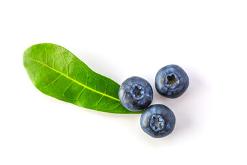 Fresh blueberries on a white background