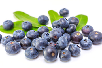 Fresh blueberries on a white background