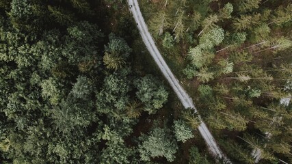 Aerial shot of a road surrounded by the forest at daytime - perfect for wallpapers © Sarah Tr/Wirestock