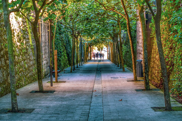 alley in the park
