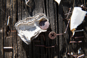 Scraps of Paper Nailed to Old Wood with Rusty Screws, Staples, and Cobwebs