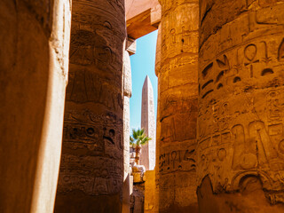 Ancient egyptian inscriptions on columns, close up view. Photographed in Karnak temple, Luxor....