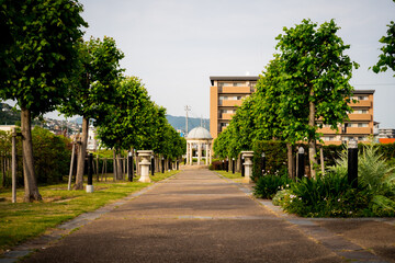 兵庫県宝塚市　山本新池公園の並木道