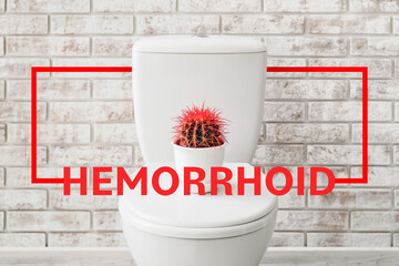 Toilet bowl with cactus near brick wall. Hemorrhoids concept