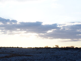 Obraz premium Beautiful sunsets and the elephants that flock to the water's edge, Etosha National Park, Namibia