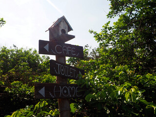 Green nature and beautiful nature and clear skies and beautiful green trees
