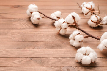 Beautiful cotton branch on wooden background
