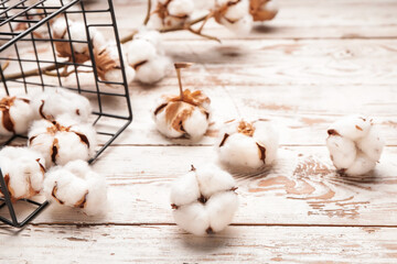Beautiful cotton flowers and basket on wooden background