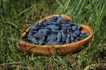 black and blue honeysuckle berries in a wooden plate on a background of green grass