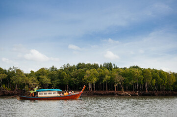 Tourist boat in mangrove forest canal at Koh Lanta, Krabi - Thailand