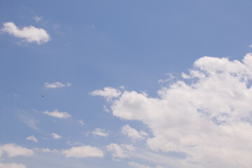 空, 雲, 青空, 自然, 環境、景色、積乱雲