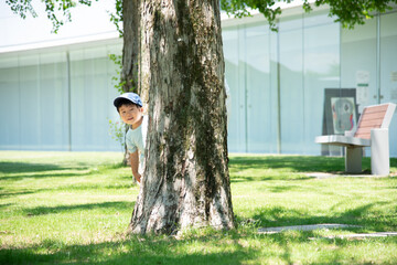 木に隠れる可愛い男の子
