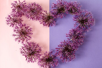 Heart of garlic inflorescences decorative on a multi colored pastel background