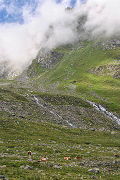 mysterious mountains 