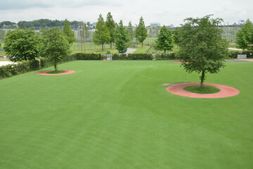 Obraz premium 人工芝