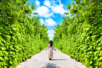 Fototapeta na wymiar Woman standing in the green leaves garden over blue sky and beautiful clouds background, Bahrain.