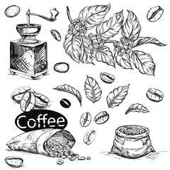 Hand drawn sketch black and white coffee set. Vector illustration of coffee beans, leaf, branch, mill, bags. Elements in graphic style menu.