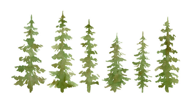 Watercolor set with evergreen trees. Forest elements for landscape creator. Isolated spruce, oaks, pines, fir trees. Coniferous green forest