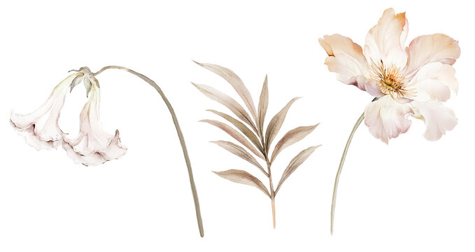 Flowers watercolor illustration.Manual composition.Big Set watercolor elements.