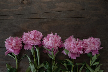 Pink peony on wooden background with copy space, top view.
