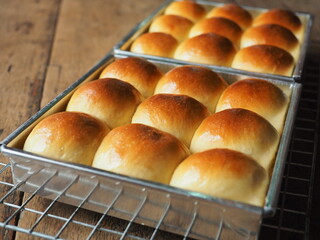 Shiny and golden brown bread rolls in baking tin.