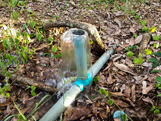 Water pipes in the longan gardens in northern Thailand