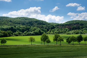 Fototapeta na wymiar Grüne Wiesen, Bäume und Himmel mit Wolken