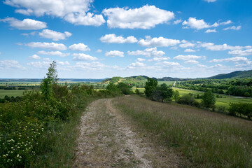 Fototapeta na wymiar Forstwege auf einem Hügel mit blauen Himmel